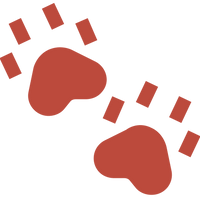 Red paw prints on a green background